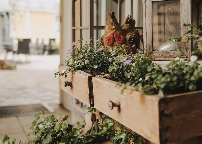 Futterknecht Pensión 3*
